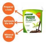 Fertilizante Forth Plantio 400g